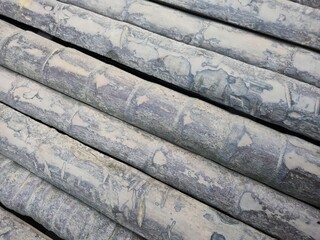 Carpet with bamboo in rows