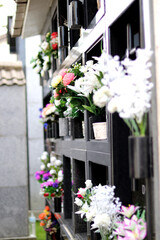 Fototapeta na wymiar White flowers in a cemetery