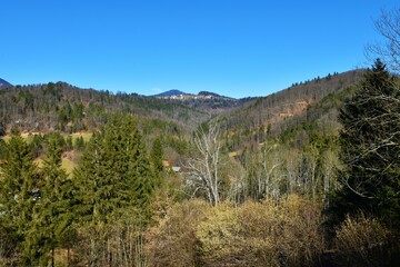 View of a forest covered valley above Poljanska Dolina near Gorenja vas, Slovenia