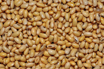 Closeup of soybean background, Top view of soybeans