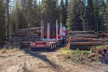 Fototapeta na wymiar Timber truck with a trailer by a timber storage in the woodland