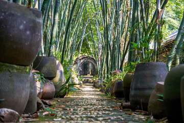 Forest trail in the park with bamboo and clay pots