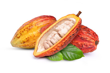 Fresh red cocoa fruit  on white background.