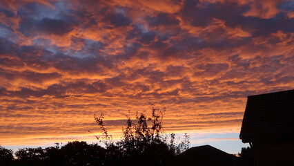 Rosy sky in Europe 1, sunrise, morning, red sky, pink sky