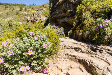 Randonnée merveilleuse sur un sentier montant dans les roches calcaires et la végétation...