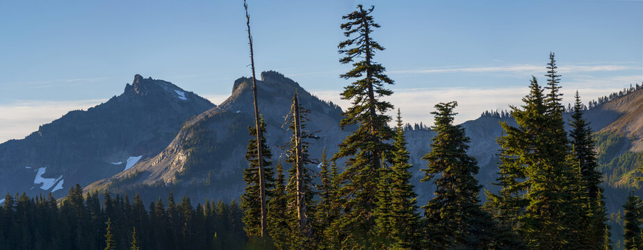 Beautiful landscape view of Tatoosh Mountain Range and trees in Washington State