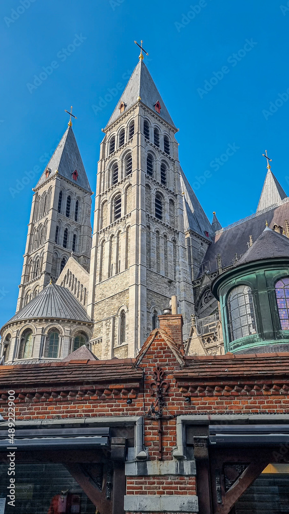 Wall mural Vertical shot of the dome and towers of the catholic cathedral