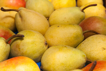 Ripe pears folded in a crate closeup.