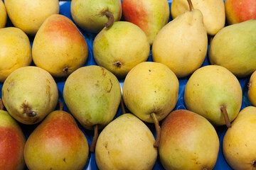 Ripe pears folded in a crate closeup.