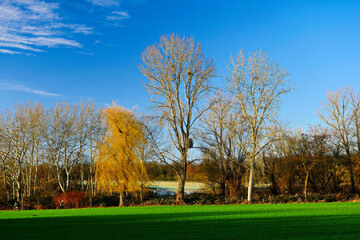 Mainbogen Offenbach Rumpenheim
