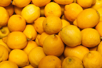 Background from whole ripe juicy lemons.