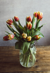 Beautiful bouquet of tulips in a glass jar