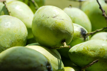 Fresh green mango in a traditional market in Indonesia