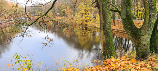 Colors of autumn in the city park