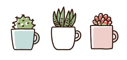 多肉植物セットその２