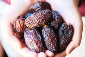 Dried date fruits in a hand. Close up. - 489225766