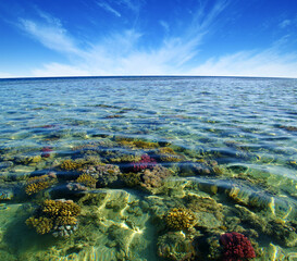 Fototapeta na wymiar Red sea coral reef and sky.