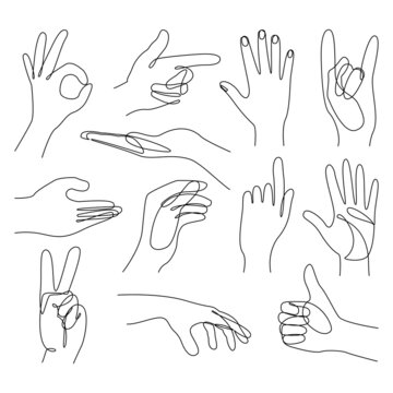 Continuous line drawing Hands