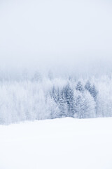 Winter landscape in white and grey