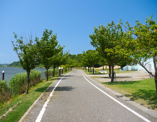 Fototapeta na wymiar 湖に隣接する遊歩道