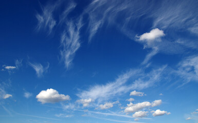 The sky and white clouds.