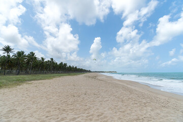 View of Maracaipe beach of Ipojuca - PE, Brazil, brazilian northeast coast. Large sand strip, the sea and coconut trees.