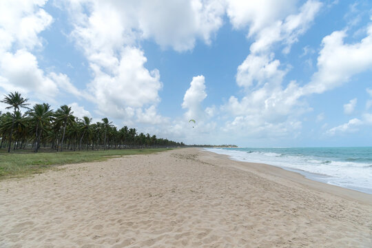 View of Maracaipe beach of Ipojuca - PE, Brazil, brazilian northeast coast. Large sand strip, the sea and coconut trees.