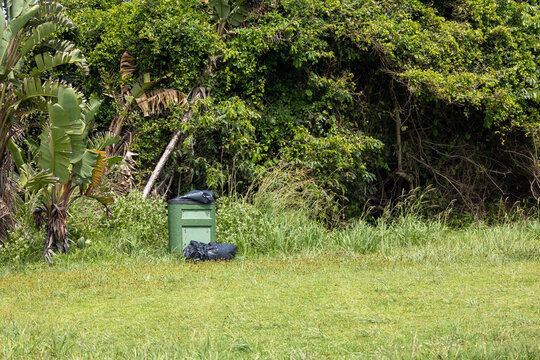 green concrete rubish bin overflowing next to jungle