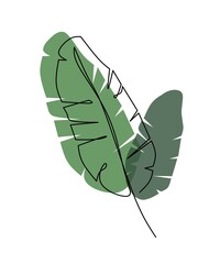 Abstract one line art of banana leaves on a white background and elegant black and green colors great for posters