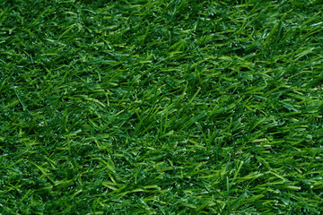 Close up artificial grass backgroud.