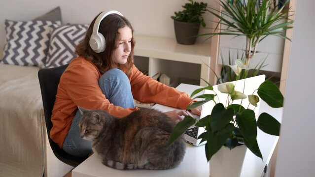 Teenage girl sitting on headphones with her cat nearby has school class online, interview with professor, video call with friends family at home.