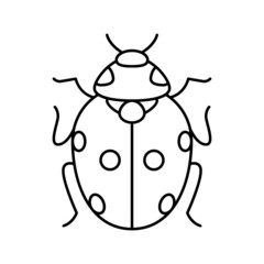 ladybug bug line icon vector illustration