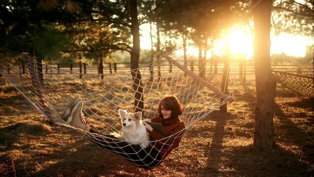 Young freelancer woman with dog working at the tablet pc on the in hammock outdoors at sunset. Concept of the workplace at home, working remotely.