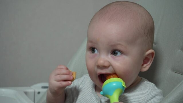 Infant nibble food on high chair Nibbler for kid feeding. Close up nice baby age of 7 months eats fruits by using nibbler.