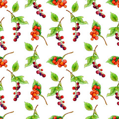 seamless watercolor pattern with red bird cherry berries on branches with green leaves.