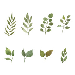 Set of Leaves and Branches Vector