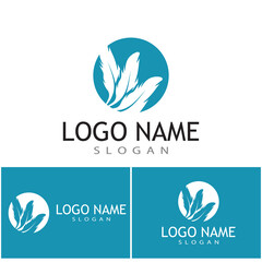 Feathers Logo Template vector symbol nature