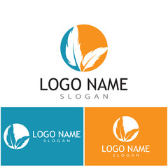 Feathers Logo Template vector symbol nature