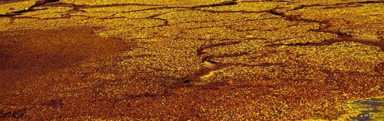 Panorama of surreal colors and Mars like landscape created by Sulphur springs in the hottest place on earth, the Danakil Depression in the Afar Region of Ethiopia.