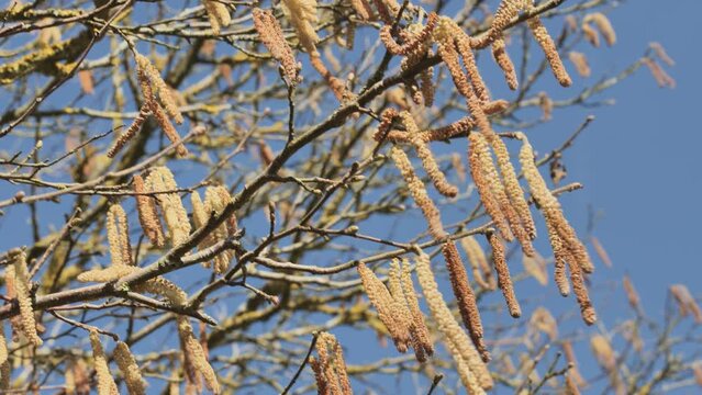 La nature en sommeil