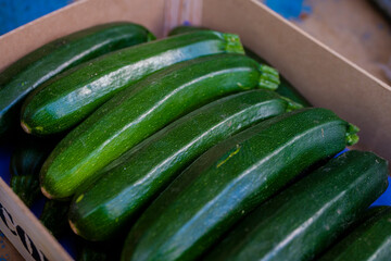 młoda cukinia, Młoda cukinia zebrana wiosną, Cukinia w pudełkach / young zucchini, Young zucchini harvested in spring, zucchini in boxes