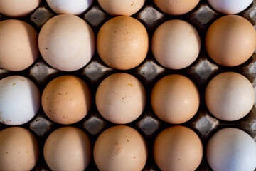 Jajka, Kurze jajka, zdrowe jajka, Jajka w pojemniku, jajka od zdrowych kur, kury z wolnego wybiegu, kolorowe jajka, eggs, healthy eggs,  © Follow the Sun