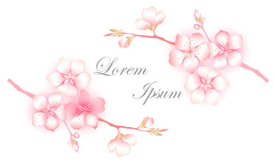 A postcard, an invitation with a floral ornament.  A blooming sakura branch on a white background.