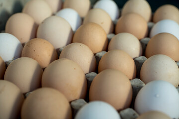 Jajka, Kurze jajka, zdrowe jajka, Jajka w pojemniku, jajka od zdrowych kur, kury z wolnego wybiegu, kolorowe jajka, eggs, healthy eggs,  © Follow the Sun