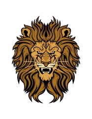 Lion Head Illustration