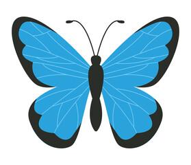 cute blue butterfly