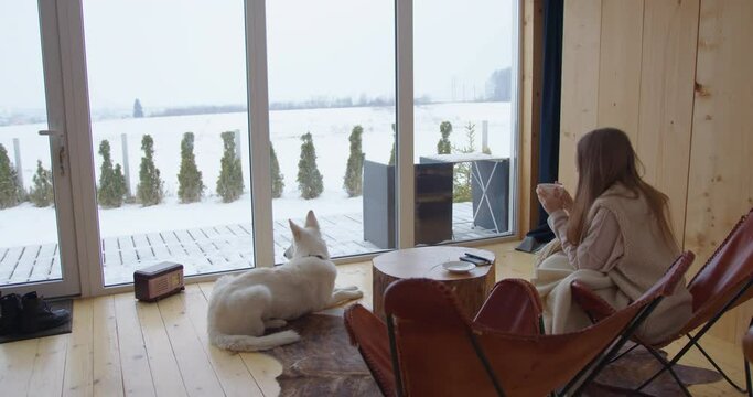 girl sitting on a leather chair drinks tea looks through large panoramic windows at the snow nearby large white dog rest in a hunting lodge house in winter