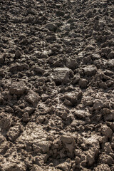 Plowed earth on a vegetable garden as a minimal background