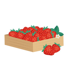 Box with ripe red strawberries. Sweet delicious food and healthy dessert. Natural product suitable for vegetarians. Source of vitamins and allergies. Vector flat illustration