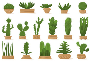 Succulent in a flower pot, cactus of different shapes, indoor plant for home, office, greenhouse. An element of a fashionable interior. Set of vector icons, color cartoon, complex flat, isolated